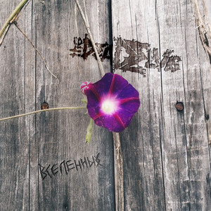 Инструкция