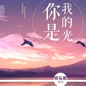 你是我捡到的光