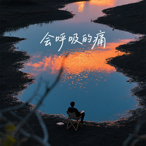 会呼吸的痛（有你就好了）