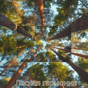 Звуки теплого камина