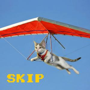 SKiP