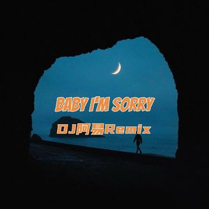 MYNAME - Baby I'm Sorry（DJ阿易Remix）