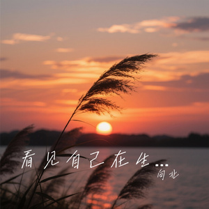 看见自己在生长