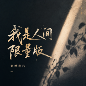 我是人间限量版