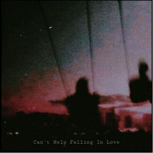 Can't Help Falling In Love