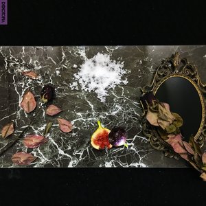 Order of the Golden Fang