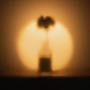 hand eye coordination