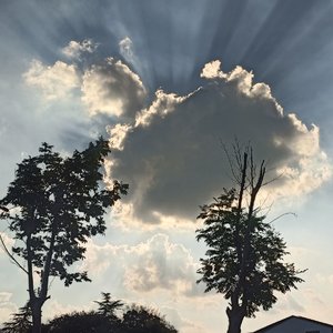 蒂斯坊