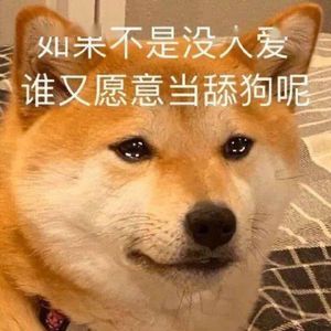 舔狗