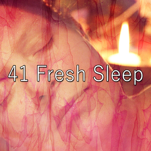 平靜的夜晚休息