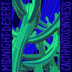 Within Is An Ocean / Avoid The Spines / Become The Sand, Become The Sky