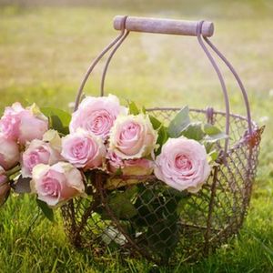 旧迹 (冥想)