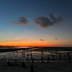 她走的那夜下起了大雨 (纯音乐)