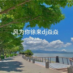 风为你徐来