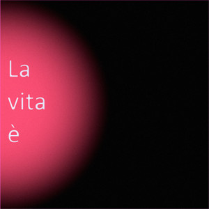 La vita è