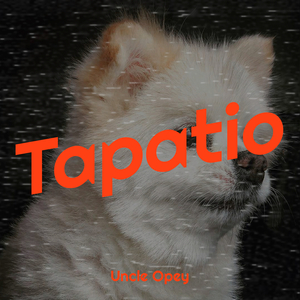 Tapatio