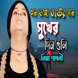 আমার সুখের দিনগুলি