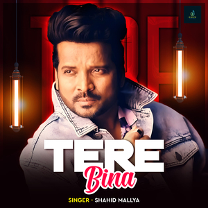 Tere Bina
