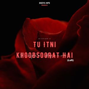 Tu Itni Khoobsurat Hai (LoFi)