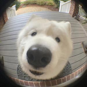 没天赋（prod by lv9）