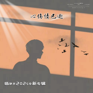 心伤情已逝-伴奏.wav