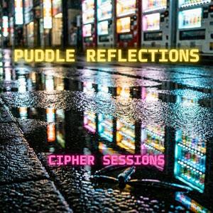 Puddle Reflections