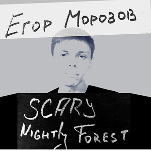 Scary Nightly Forest