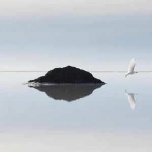 Go it（你最近还好吗 热播版）