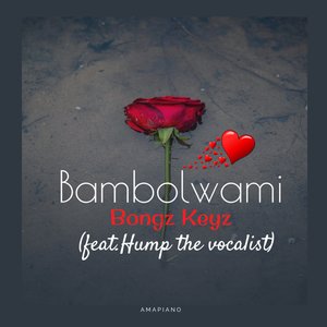 Bambolwami