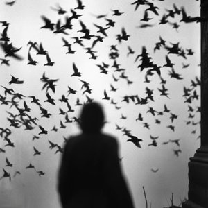 我在爱的边缘徘徊（Prod.金桔0RANG3）