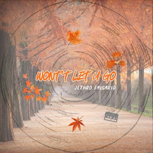 Won't Let U Go
