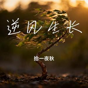 逆风生长 (Cover 鲁士郎)