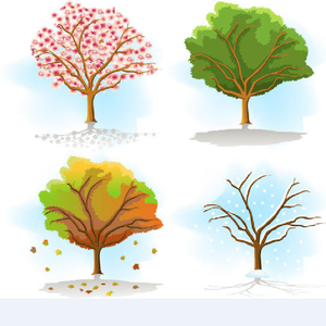 像我这样的人（Cover 毛不易）