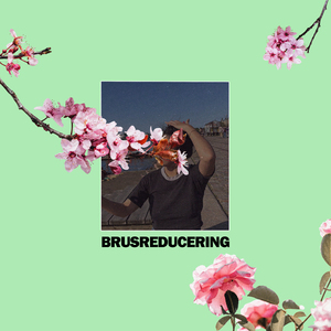 BRUSREDUCERING