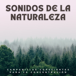 Sonidos Del Viento Y Las Campanillas