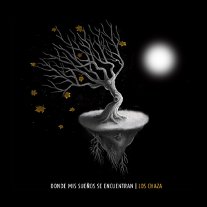 Donde Mis Sueños Se Encuentran (feat. Raly Barrionuevo)