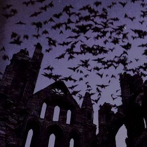 【FREE】“smetch” Jerk Drill Type Beat