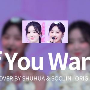 AI翻唱-叶舒华徐穗珍-'If You Want'-i-dle