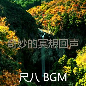 抚慰的瑜珈回忆