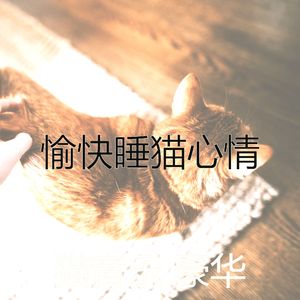 抚慰的睡猫回忆