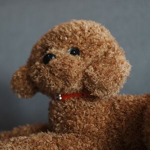 我们孤单的一生