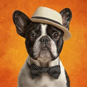 Sunglasses catching glints