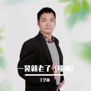 一晃就老了 (唢呐)