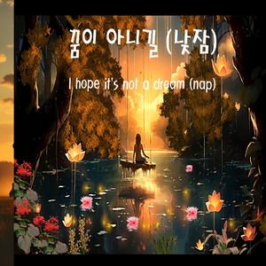꿈이 아니길 (낮잠)