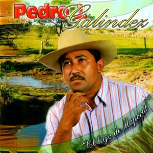 Paraulata del camino