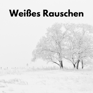 Feines Rauschen