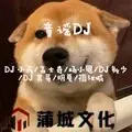 小毛驴 (DJ)