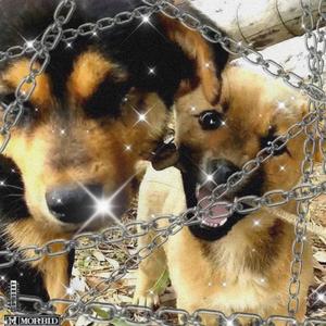 好男人也会悲伤