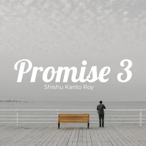 Promise 3