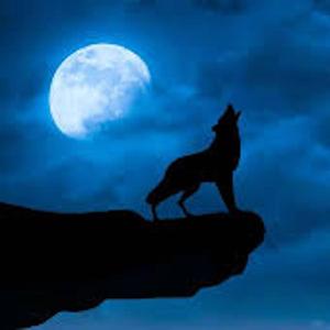 PM (feat. LilCandyPaint)